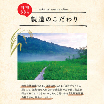 [Amazake Regular Service] Set mit 30 Shirakami Sasara Mandarinen (Normalpreis 8.910 Yen inklusive Steuern)