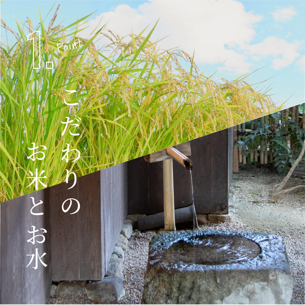 Wakatakeya Sake Brewery Rice Koji Eight Grains Amazake 720ml/Amazake